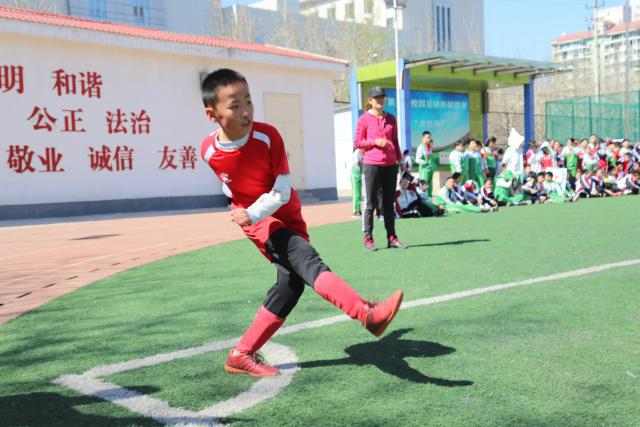 欧文神仙球绝杀独行侠险胜掘金 魔术大胜猛龙